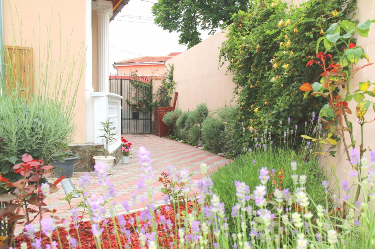 Yox Apartment 4 Oradea Zewnętrze zdjęcie